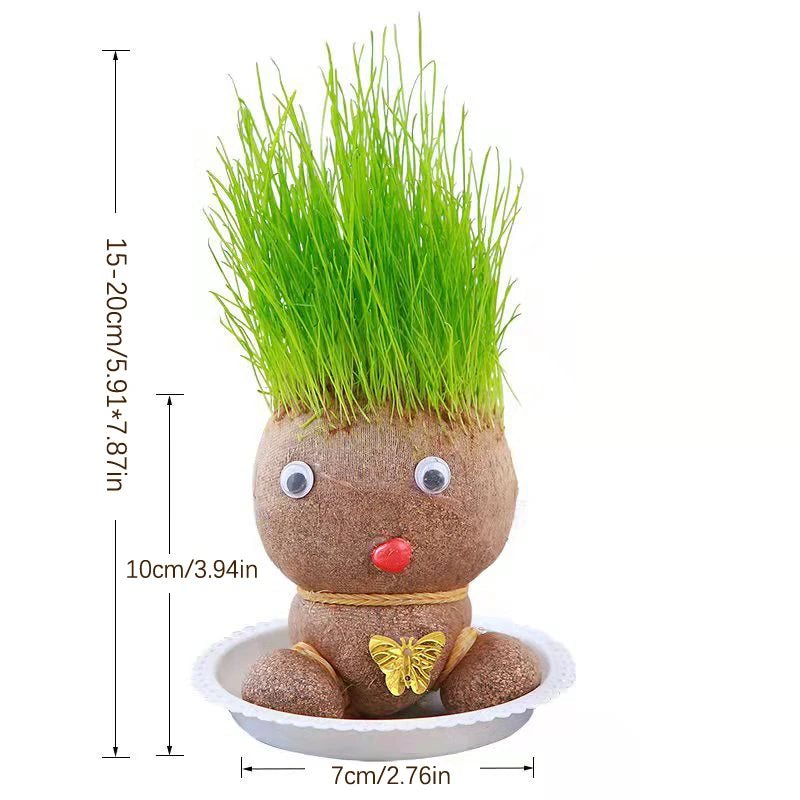 Small Growing Grass Head Doll Plant