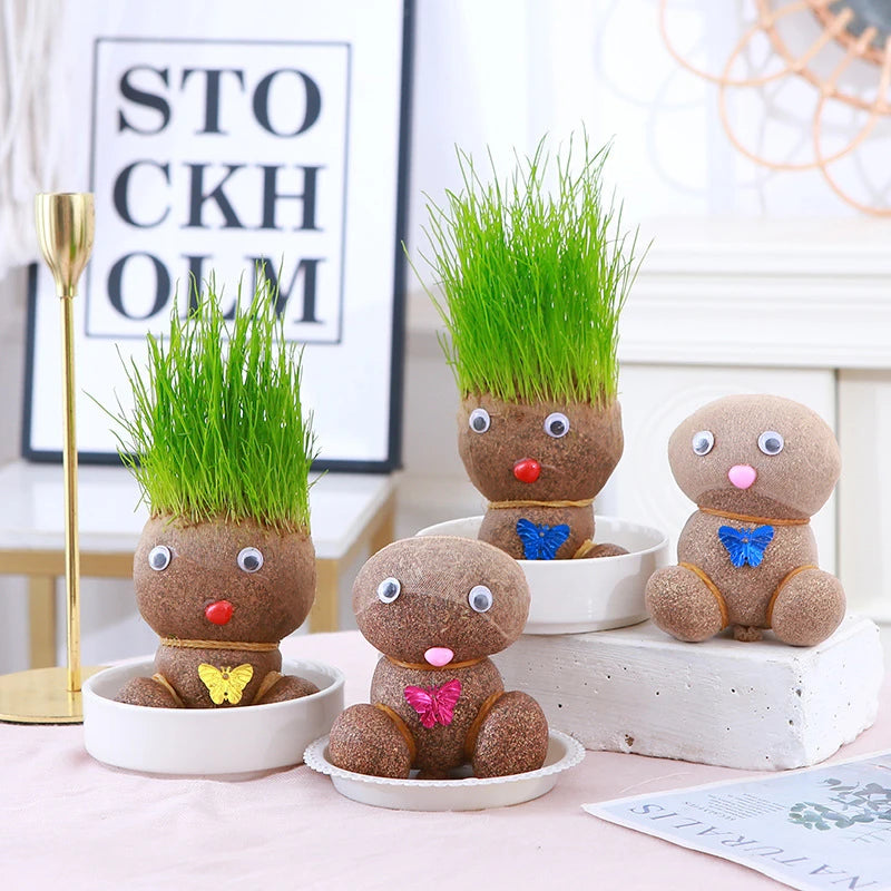 Small Growing Grass Head Doll Plant