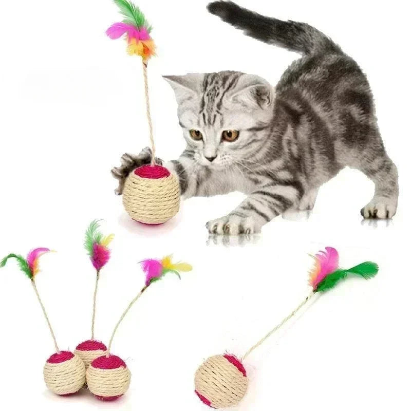 Training Interactive Toy for Kitten Pet