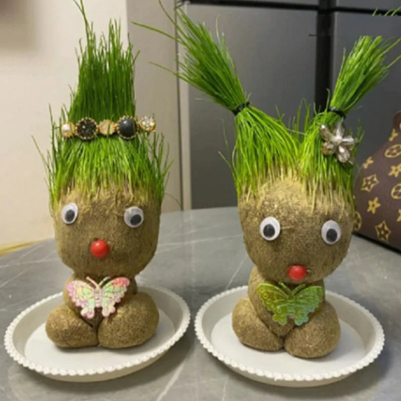 Small Growing Grass Head Doll Plant