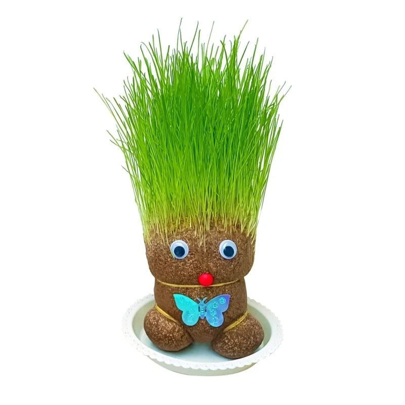 Small Growing Grass Head Doll Plant