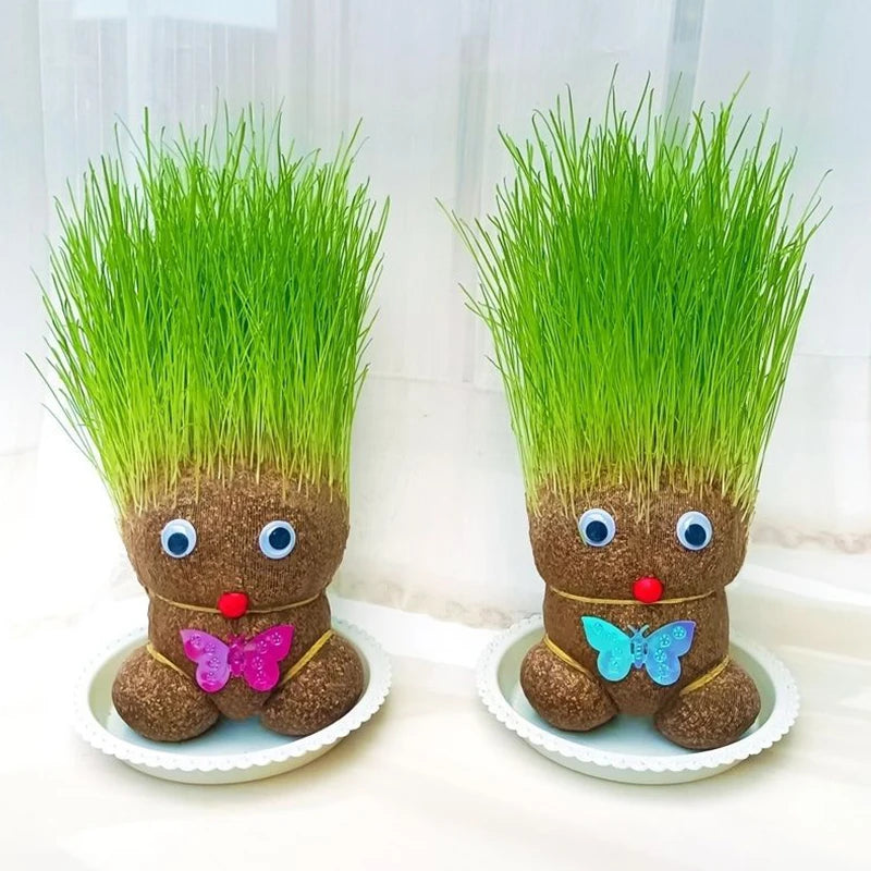 Small Growing Grass Head Doll Plant