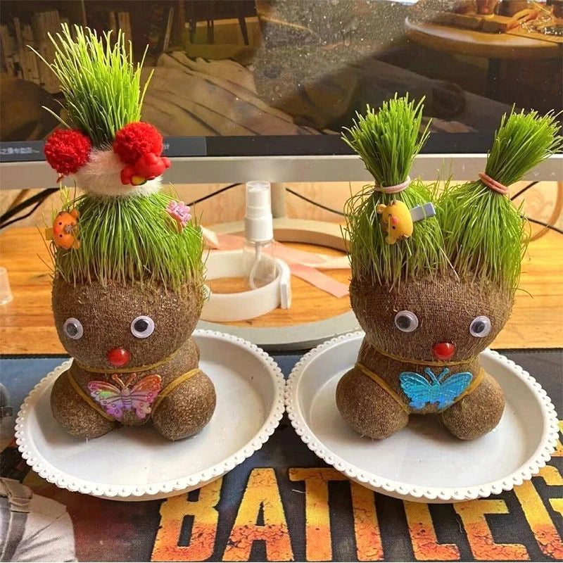 Small Growing Grass Head Doll Plant