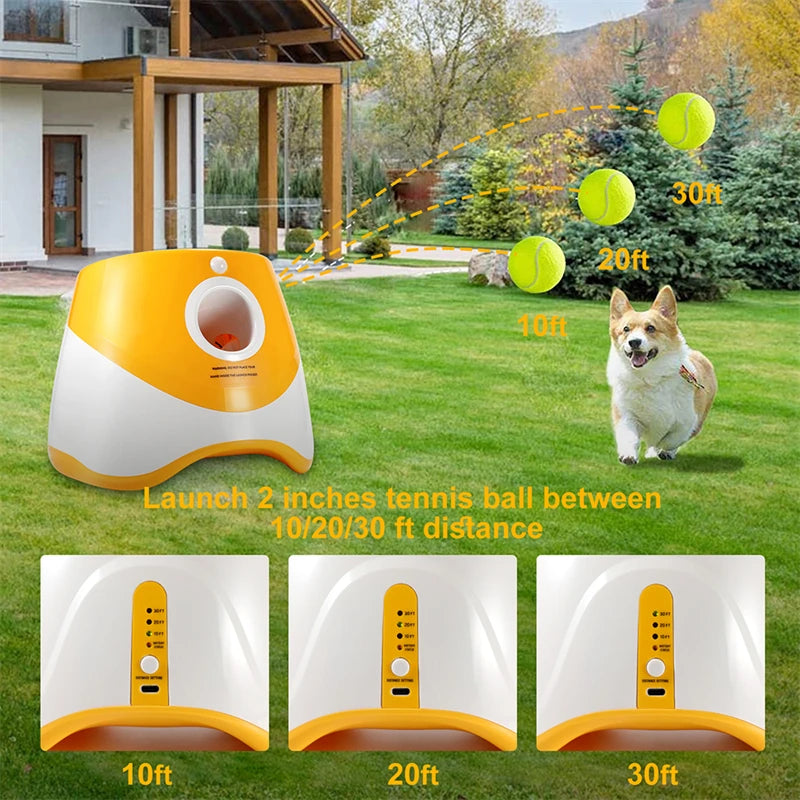 Automatic Pet Dogs Chase Toy Mini Tennis