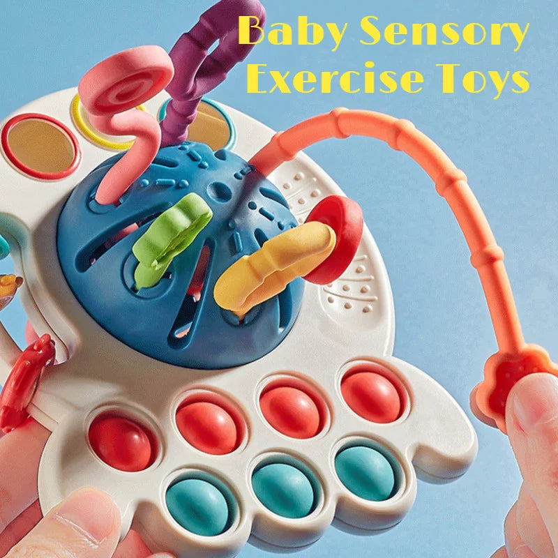 Baby Montessori Sensory Development Toy