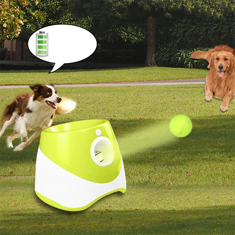 Automatic Pet Dogs Chase Toy Mini Tennis